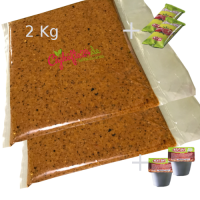 Cigköfte Sparpaket 1